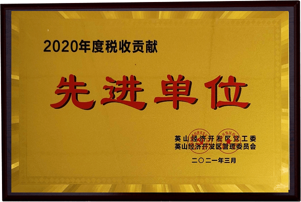 2020年度稅收貢獻(xiàn)先進(jìn)單位